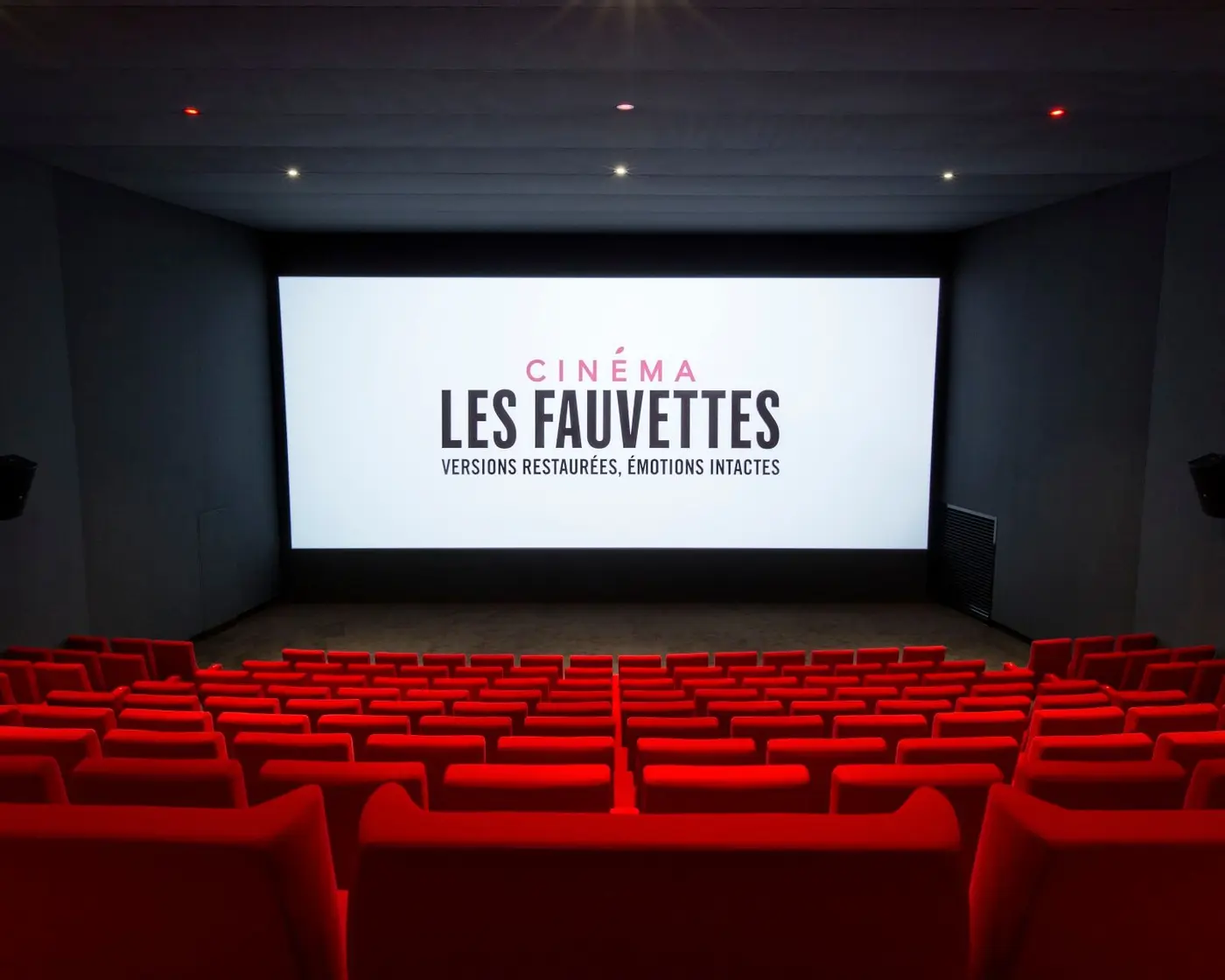 Pathé Les Fauvettes, conférence et séminaire, Paris 13e, jusqu'à 200 personnes debout — photo 2